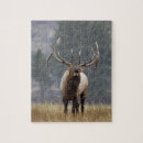 Recherche de wapiti puzzles Parc national