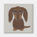 Search for cute magnets Dog