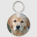 Search for retrieve keychains Golden retriever puppy