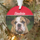 Search for english bulldog ornaments Pets