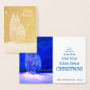 Search for spruce christmas cards Forest