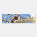 Search for maine bumper stickers Cat