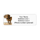 Search for doxie return address labels Weiner