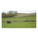 Recherche de amish art Équin