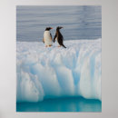 Search for sea bird art Aquatic