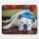 Search for cuddles mousepads Animals