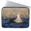 Search for birdwatcher electronics Birder