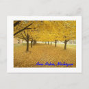 Search for ann arbor postcards College