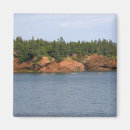 Recherche de st david magnets Marée