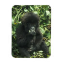 Recherche de gorille de montagne magnets Faune