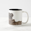 Recherche de rampes tasses Rampement