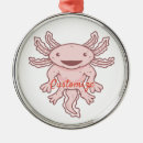 Search for salamander ornaments Amphibian