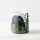 Search for black jaguar mugs Jaguars