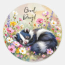 Search for skunk stickers Wildlife