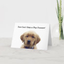 Search for puppy graduation cards Golden retriever