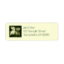 Search for dogwood return address labels Tree