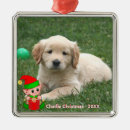 Search for cute elf ornaments Unique