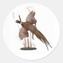 Search for pheasant stickers Bird
