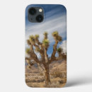 Search for joshua tree electronics Mountain