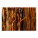 Recherche de écorce posters Bois