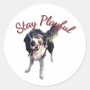 Recherche de chiens à bord autocollants Toute personne