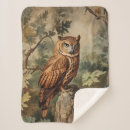 Search for owl blankets Antique