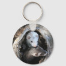 Search for ferret ferret keychains Ferrets
