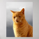 Search for ginger posters Portrait