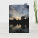 Search for approaching cards Nature