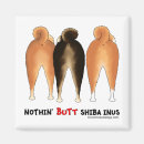 Search for inus magnets Pets