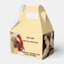 Recherche de poulets ballotins Ferme