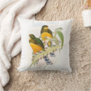 Recherche de trogon Illustration