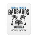 Search for barbados magnets Summer