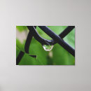 Search for drop canvas prints Rain
