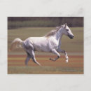 Search for horse runs postcards Nature