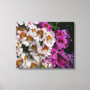 Search for purple butterfly canvas prints Nature