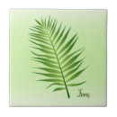 Search for fern leaf tiles Plant