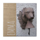 Recherche de humoristique carreaux Pour elle