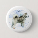 Recherche de alaskan badges Chien