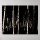 Recherche de arbre noir et blanc posters Bouleau