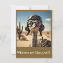 Recherche de ostrich cartes postales Salutations