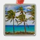 Search for coconut ornaments Palm
