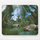 Search for oz mousepads Kansas