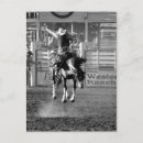 Recherche de baril cartes postales Rodéo
