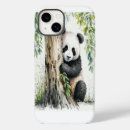 Search for bear cases Wildlife