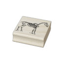 Search for anatomy and physiology Science