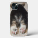 Search for corgi puppy iphone cases Canine