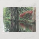 Recherche de paysage espagnol cartes postales Mousse espagnole