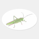 Recherche de grasshopper autocollants Bogue