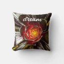 Search for cactus pillows Cacti
